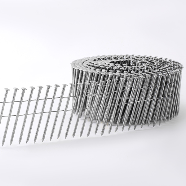 Stainless Steel Coil Nails