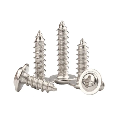 Wafer Head SS Self Tapping Screw