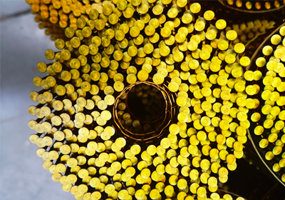 How Should Maintain the Coil Nails?