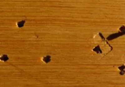 The Difference Between Pneumatic Nail Gun and Electric Nail Guns