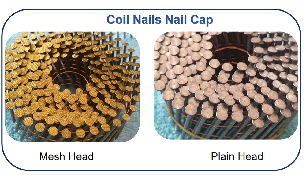 coil nails cap